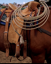 SaddleAndLasso.jpg