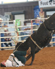 SteerRiding08.jpg