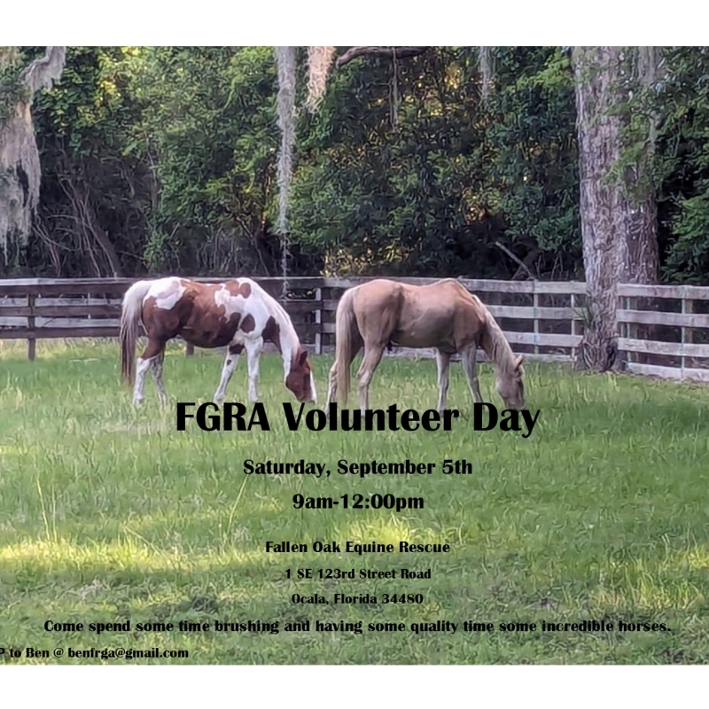 horse-rescue-fgra-volunteer-day-sept-5